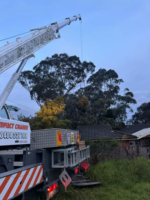 Crane-assisted tree removal project in Sydney