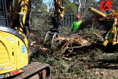 Development Site Preparation