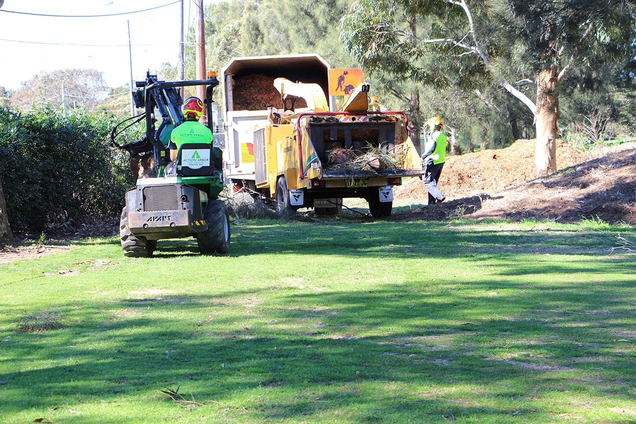 Professional land clearing services throughout Sydney