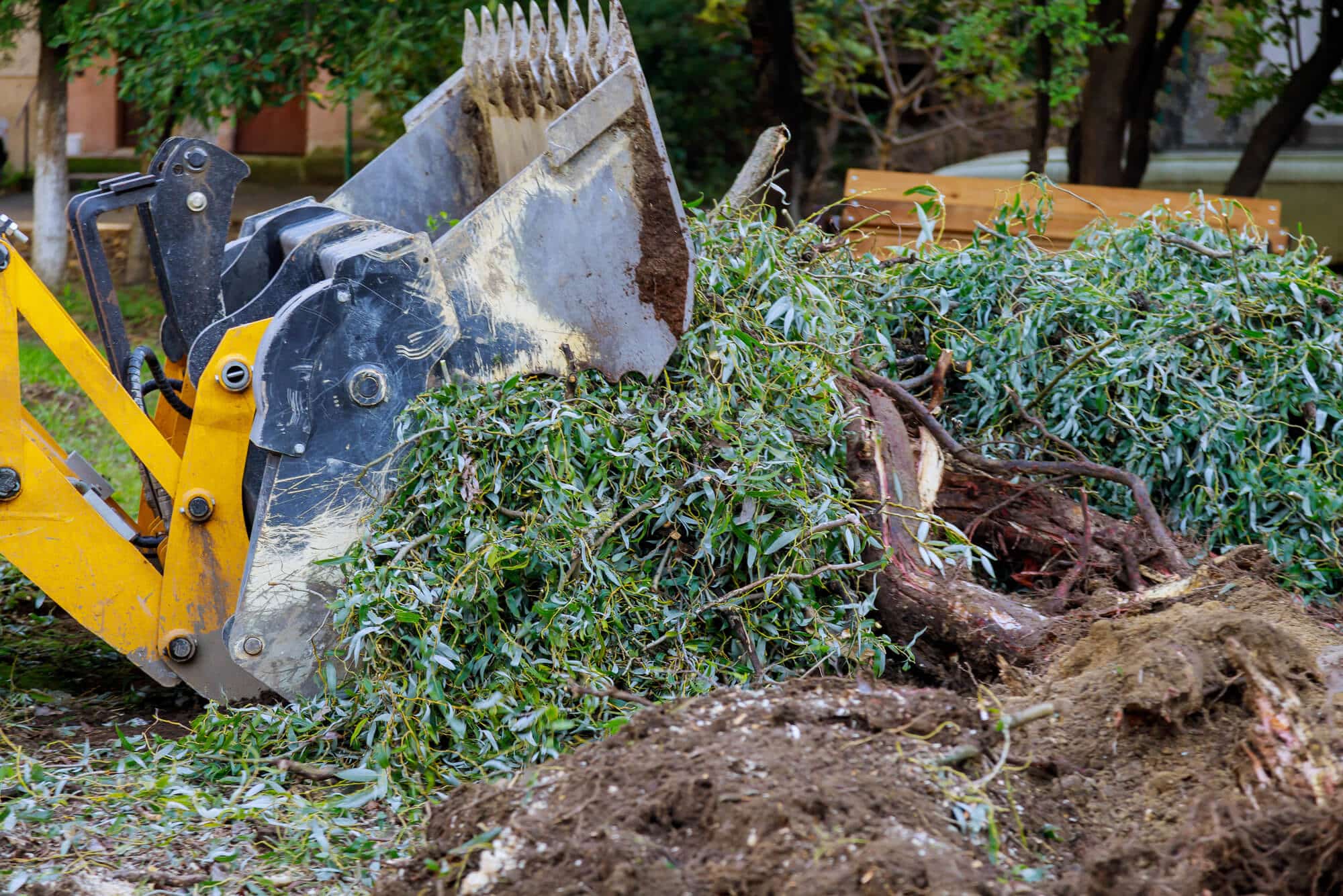 Treemendous Tree Care land clearing machinery on Sydney property