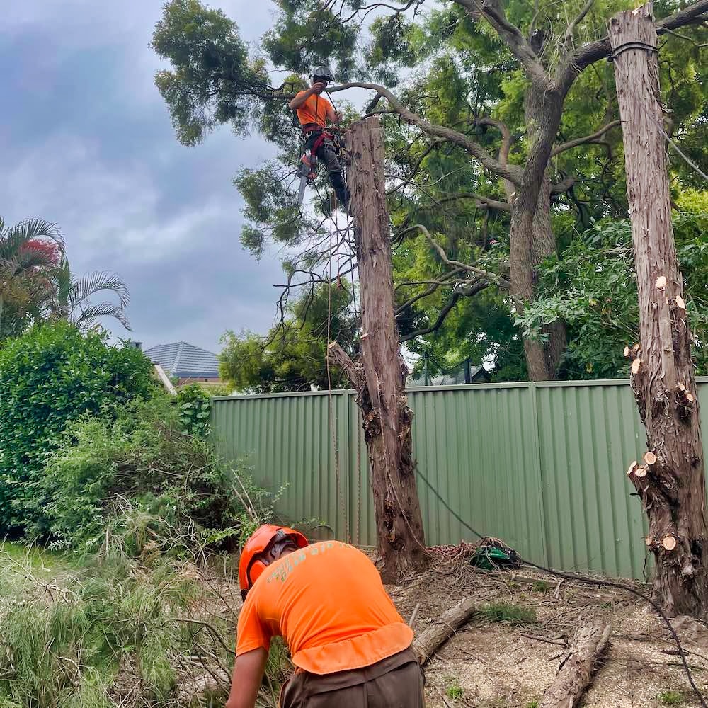 Residential Block Clearing