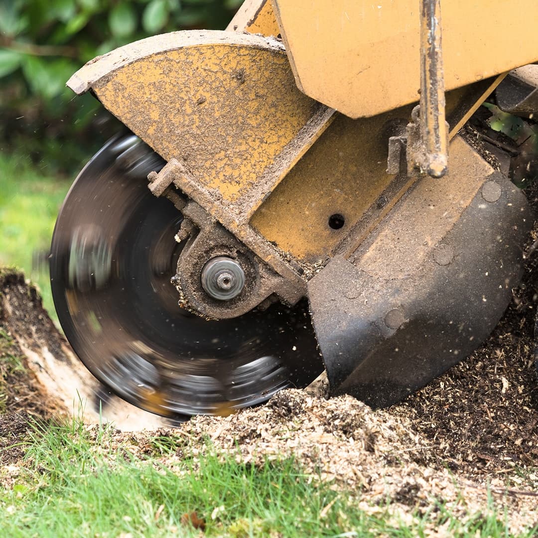 Professional Professional Stump Grinding Across Sydney - Residential Stump Grinding