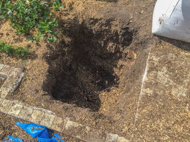 Professional Professional Stump Grinding Across Sydney - Root Removal