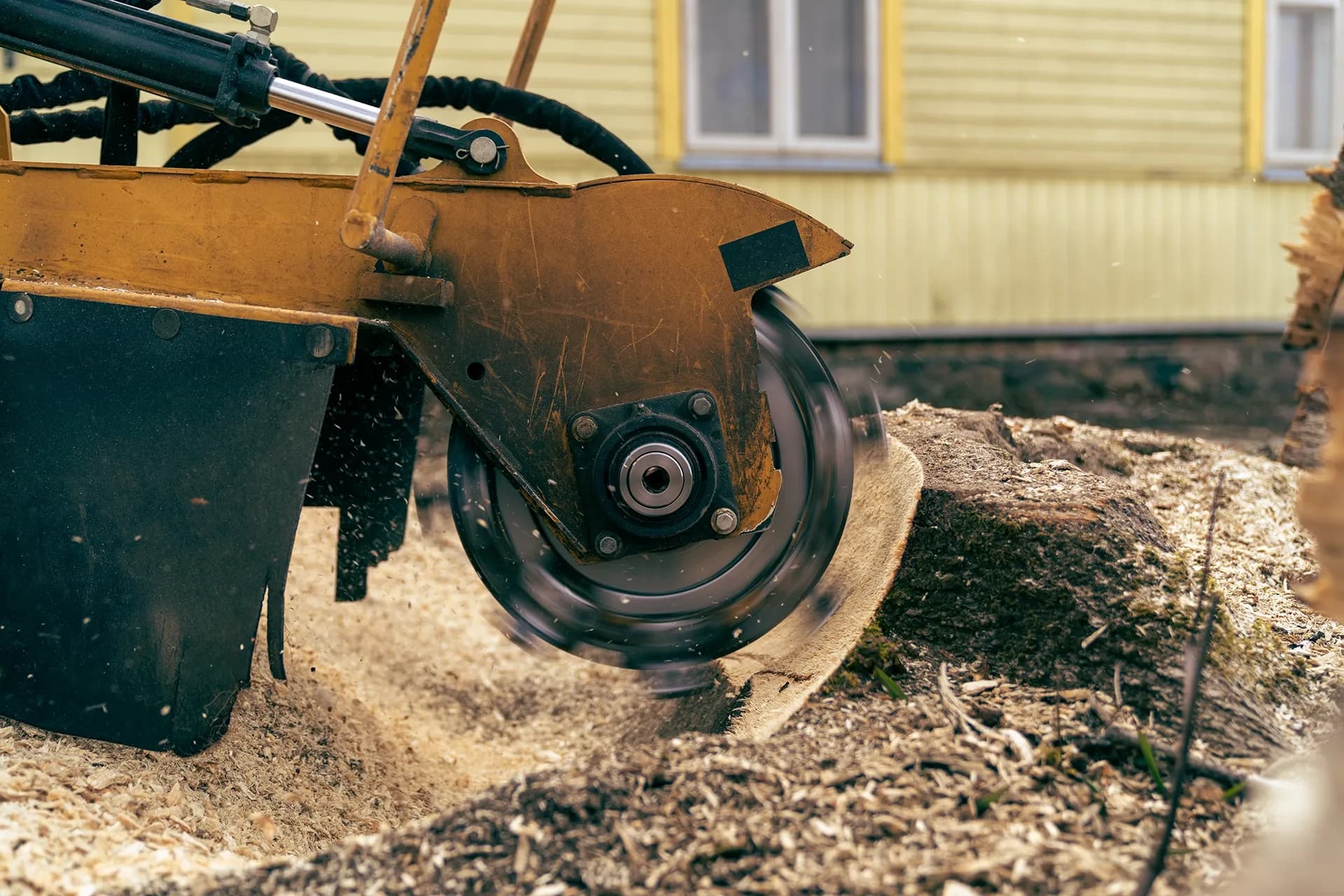 Professional Professional Stump Grinding Across Sydney - Stump Grinding Sydney Hero
