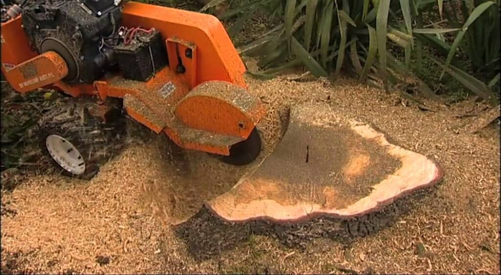 Tree Stump Grinding Service