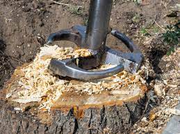 Tree Stump Removal Services